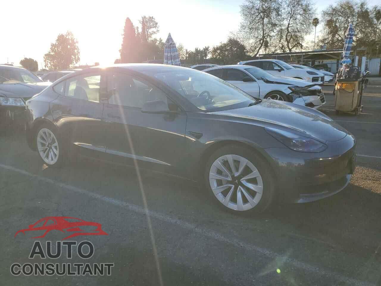 TESLA MODEL 3 2022 - 5YJ3E1EA8NF184876