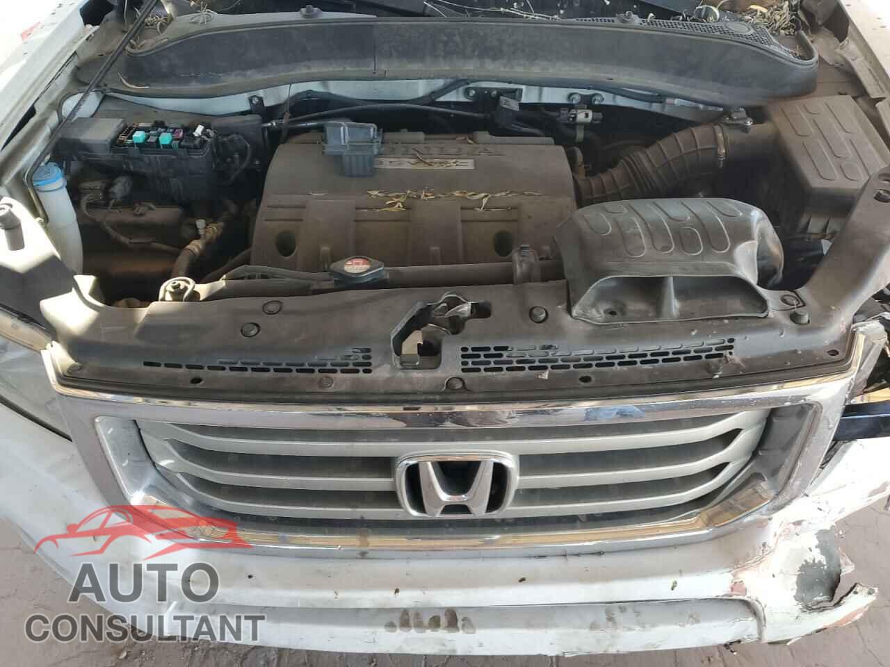 HONDA RIDGELINE 2014 - 5FPYK1F51EB011627
