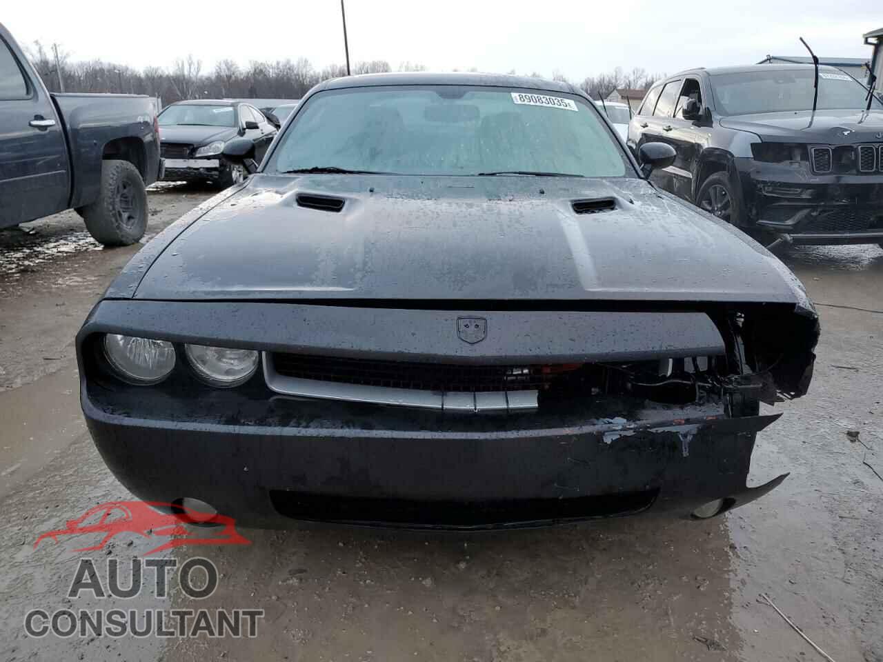 DODGE CHALLENGER 2013 - 2C3CDYBT6DH535850