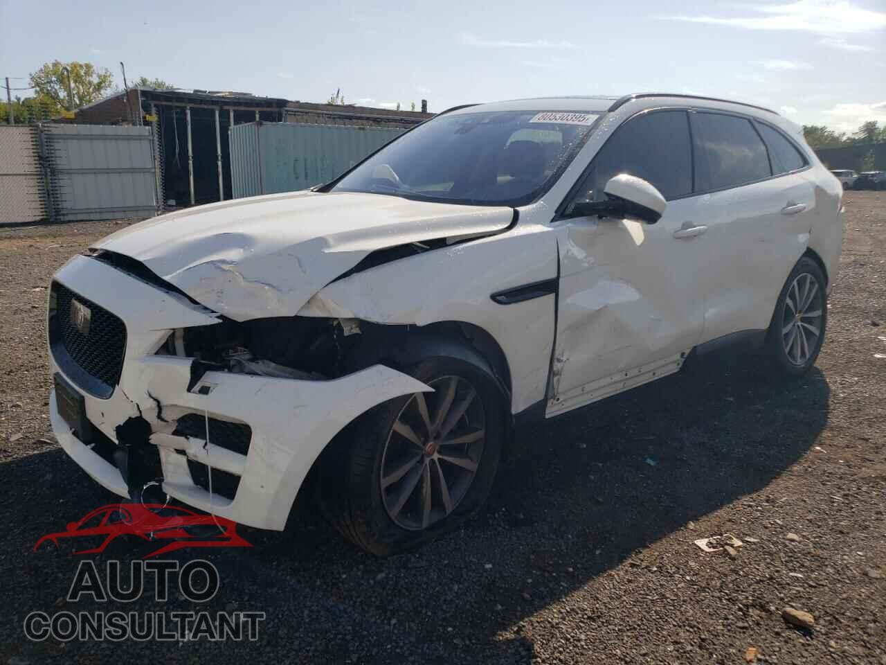 JAGUAR F-PACE 2019 - SADCK2FX7KA353473