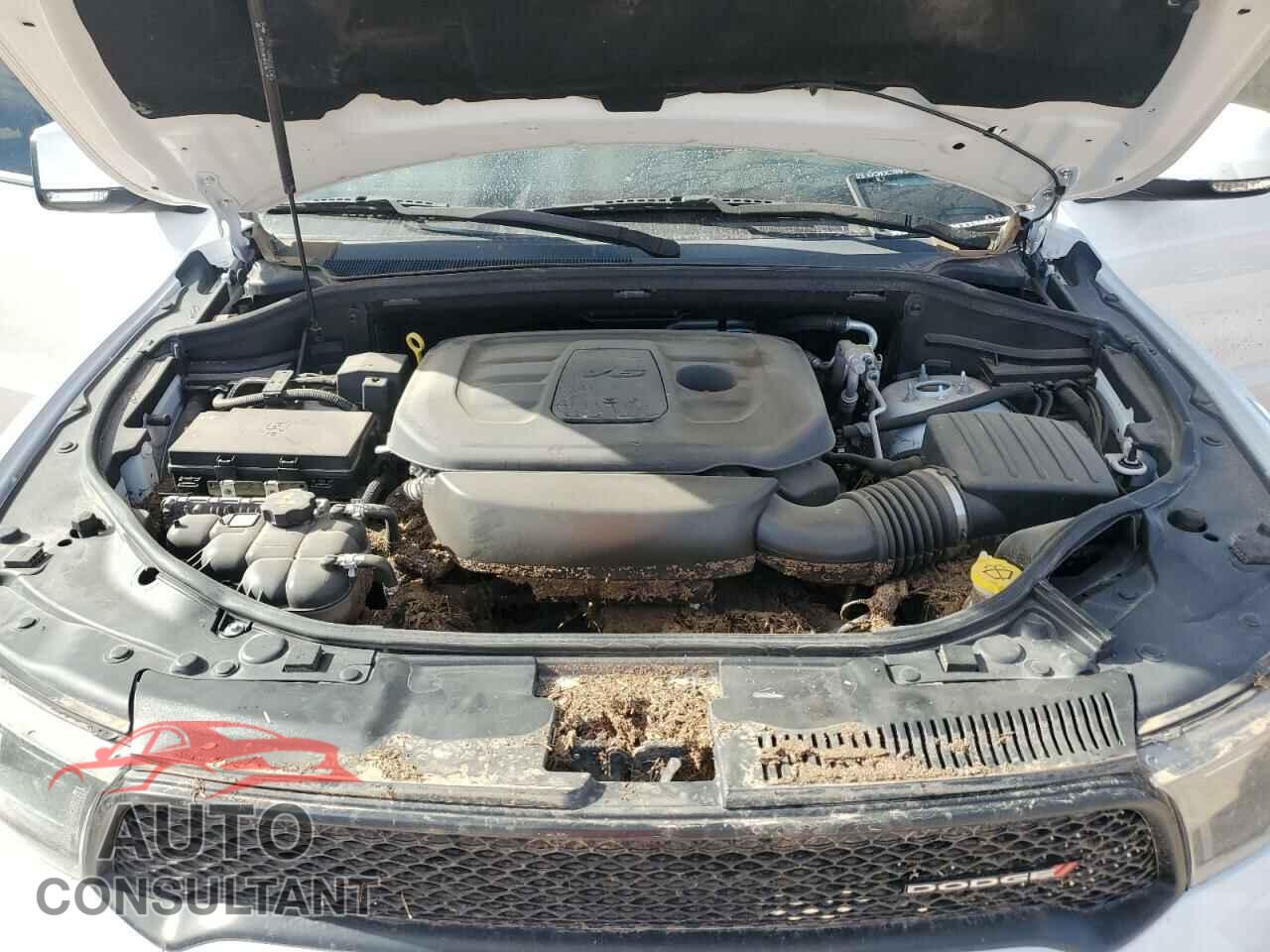 DODGE DURANGO 2019 - 1C4RDHDG8KC650701