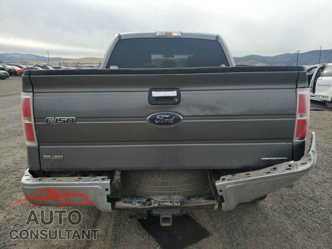 FORD F-150 2013 - 1FTFW1CF1DFB41368