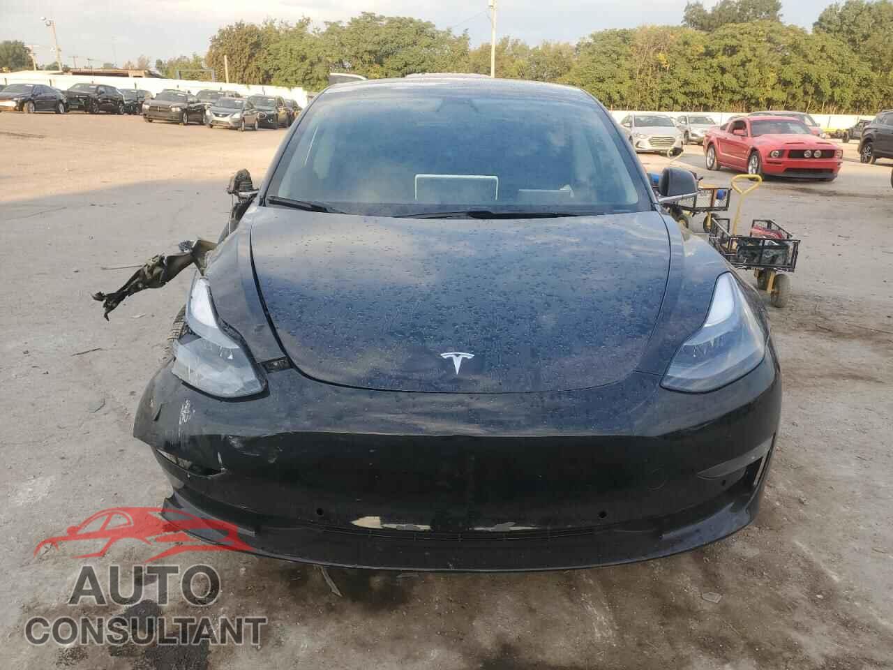 TESLA MODEL 3 2019 - 5YJ3E1EA5KF297891
