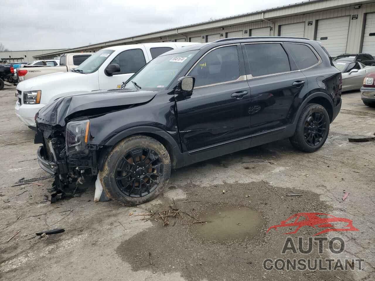 KIA TELLURIDE 2021 - 5XYP5DHC3MG099371