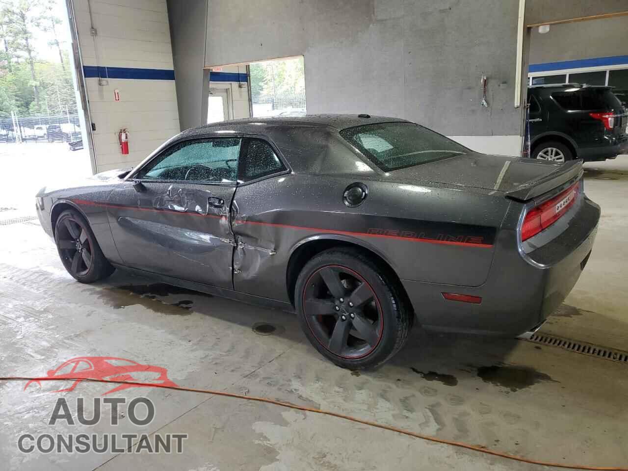 DODGE CHALLENGER 2013 - 2C3CDYBTXDH667994