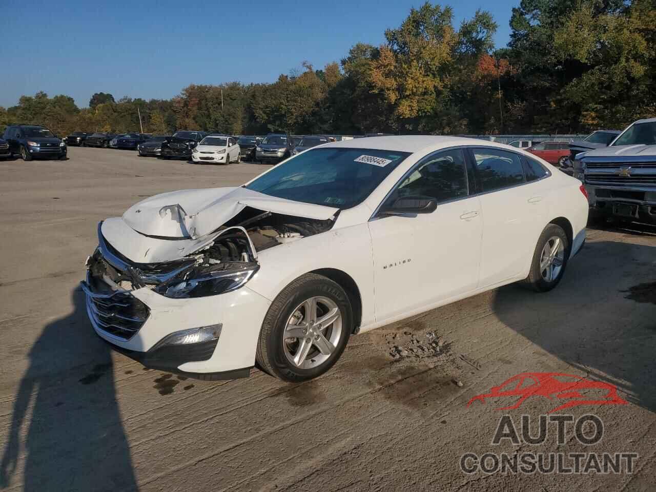 CHEVROLET MALIBU 2020 - 1G1ZB5STXLF158202