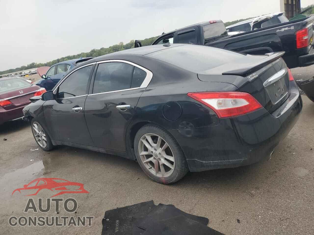 NISSAN MAXIMA 2011 - 1N4AA5AP6BC858896