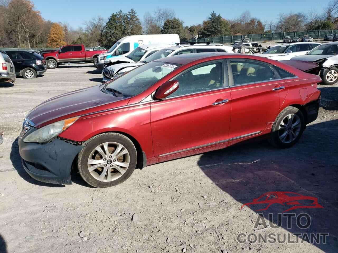 HYUNDAI SONATA 2011 - 5NPEC4AC7BH116492