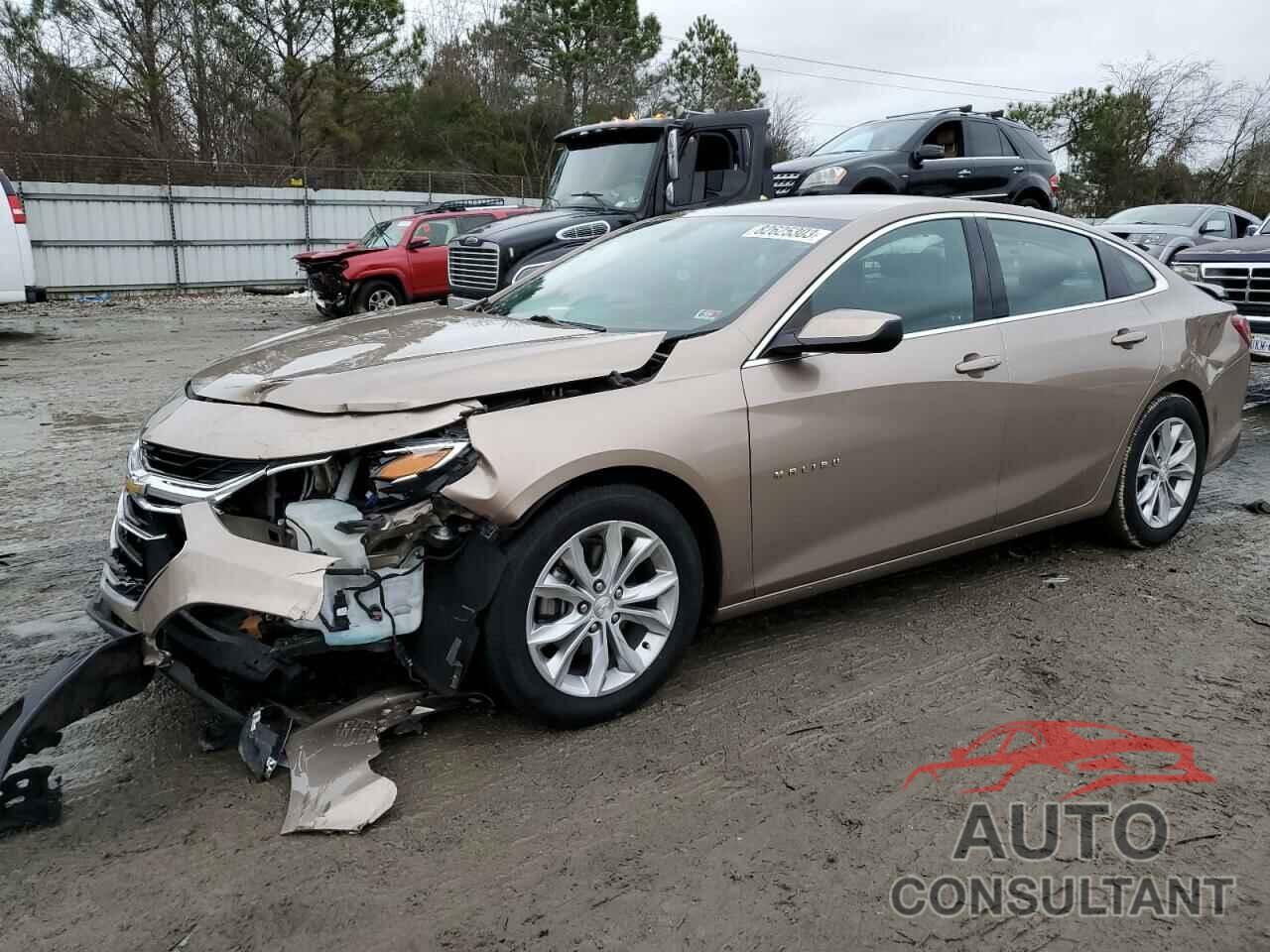CHEVROLET MALIBU 2019 - 1G1ZD5ST1KF140115