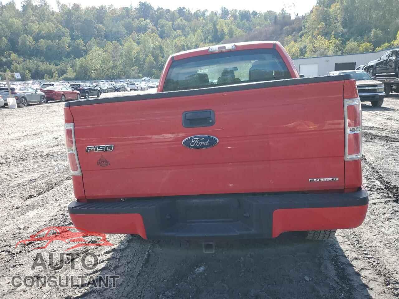 FORD F-150 2013 - 1FTFX1EF2DFD98517