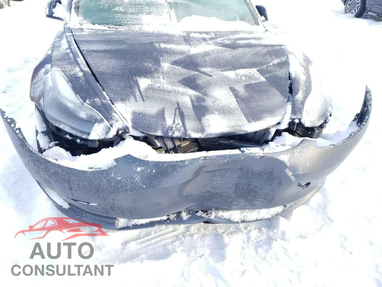 TESLA MODEL 3 2023 - LRW3E1FA9PC899953