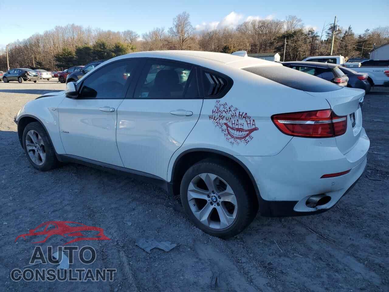 BMW X6 2014 - 5UXFG2C56E0C44298