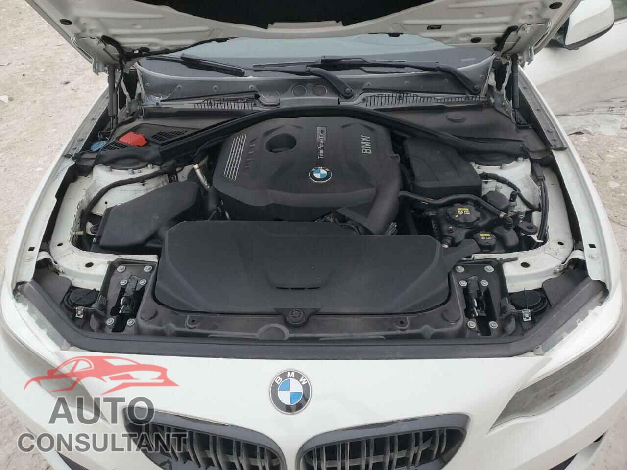 BMW 2 SERIES 2017 - WBA2F9C57HV664357