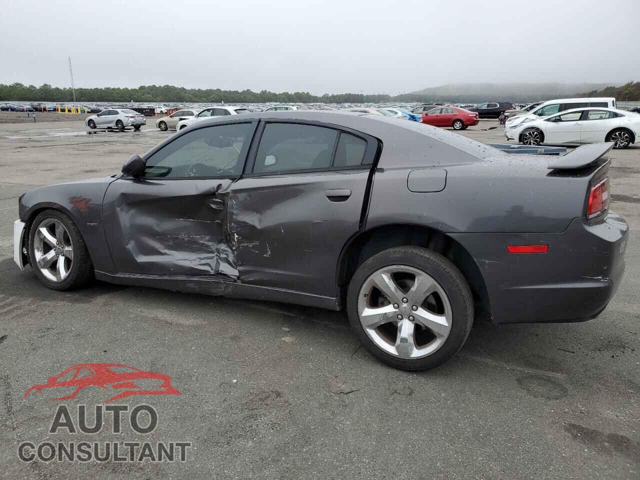 DODGE CHARGER 2013 - 2C3CDXCT7DH656220