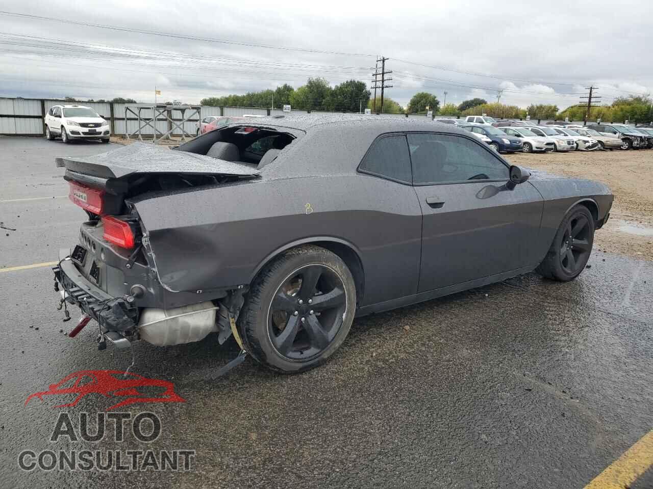 DODGE CHALLENGER 2014 - 2C3CDYBT2EH247695