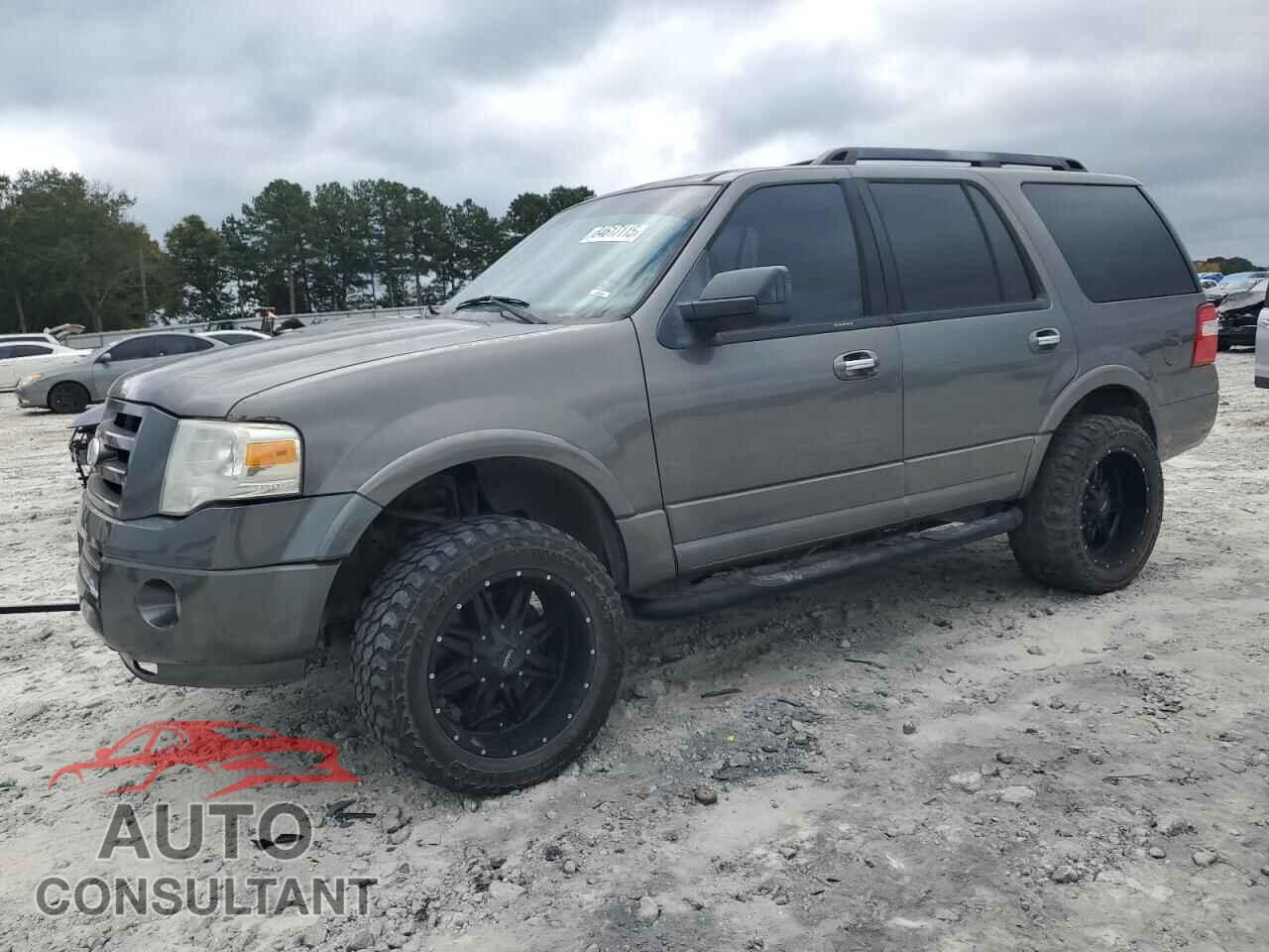 FORD EXPEDITION 2010 - 1FMJU1F53AEB53408