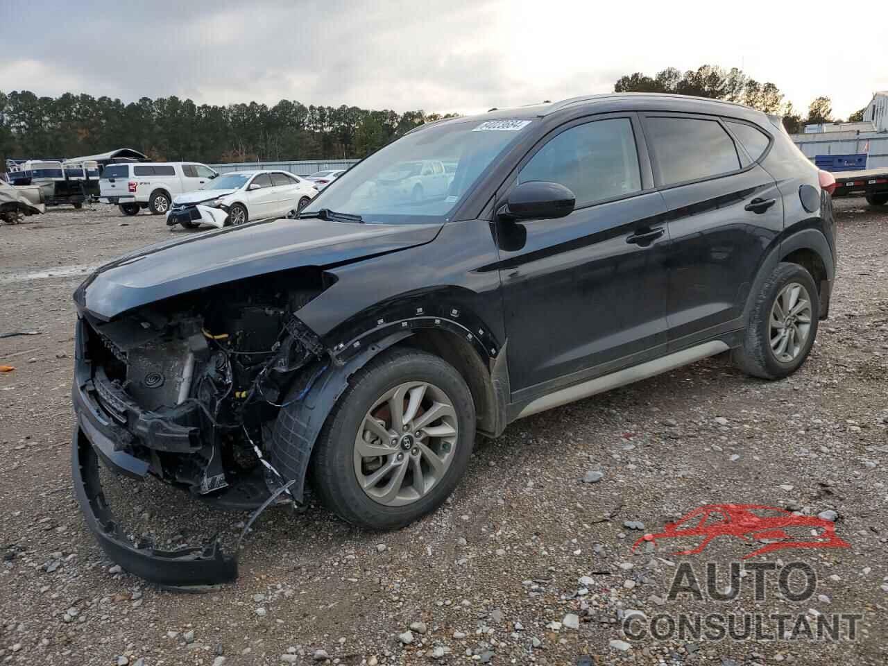 HYUNDAI TUCSON 2017 - KM8J33A47HU566591