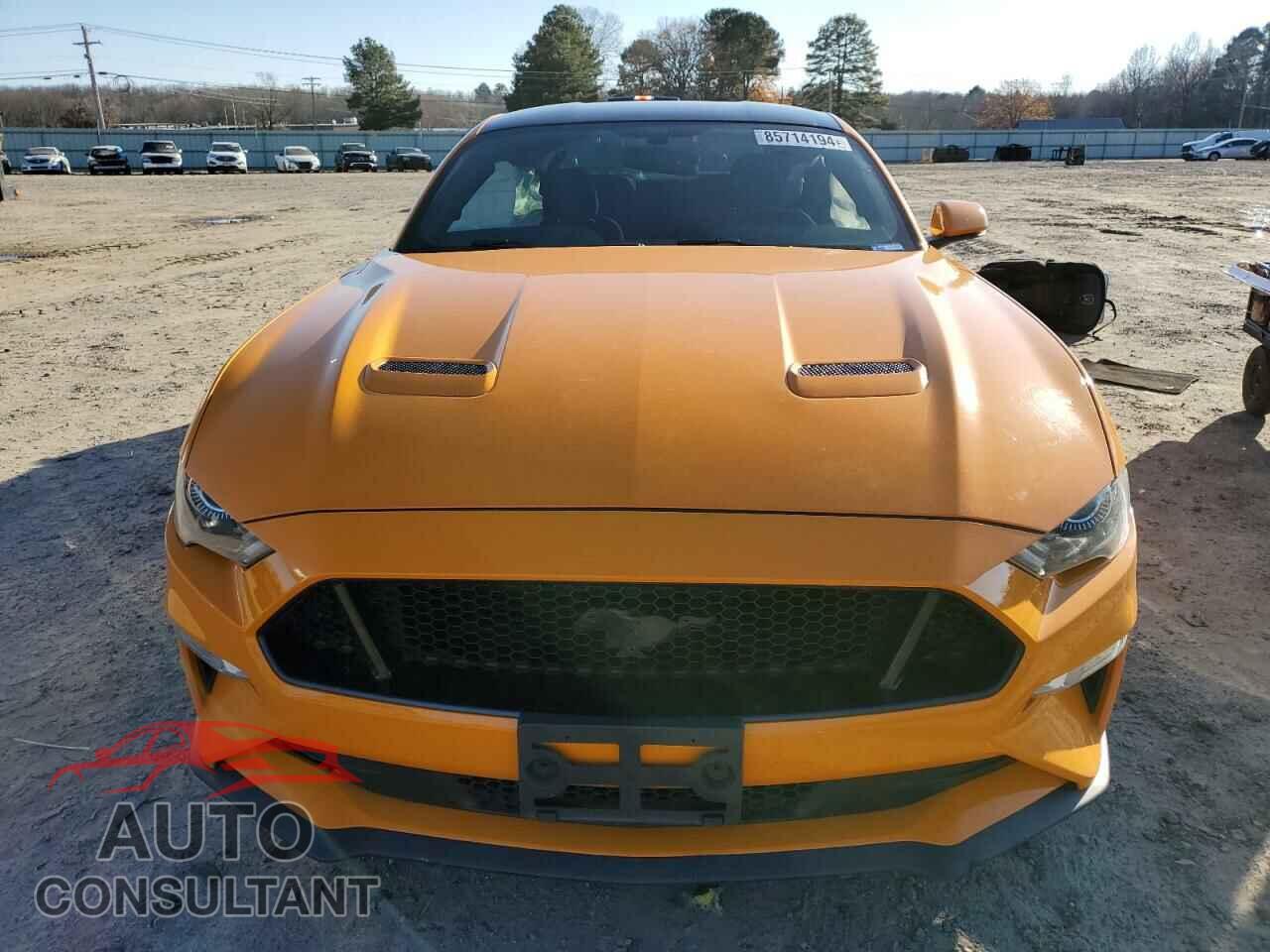 FORD MUSTANG 2019 - 1FA6P8CF8K5114876