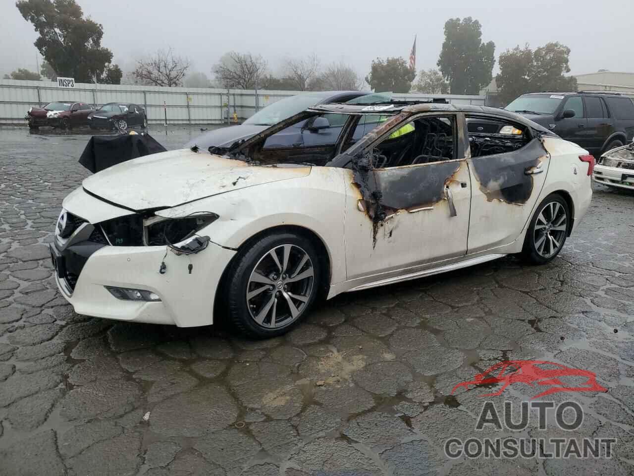 NISSAN MAXIMA 2017 - 1N4AA6APXHC364572