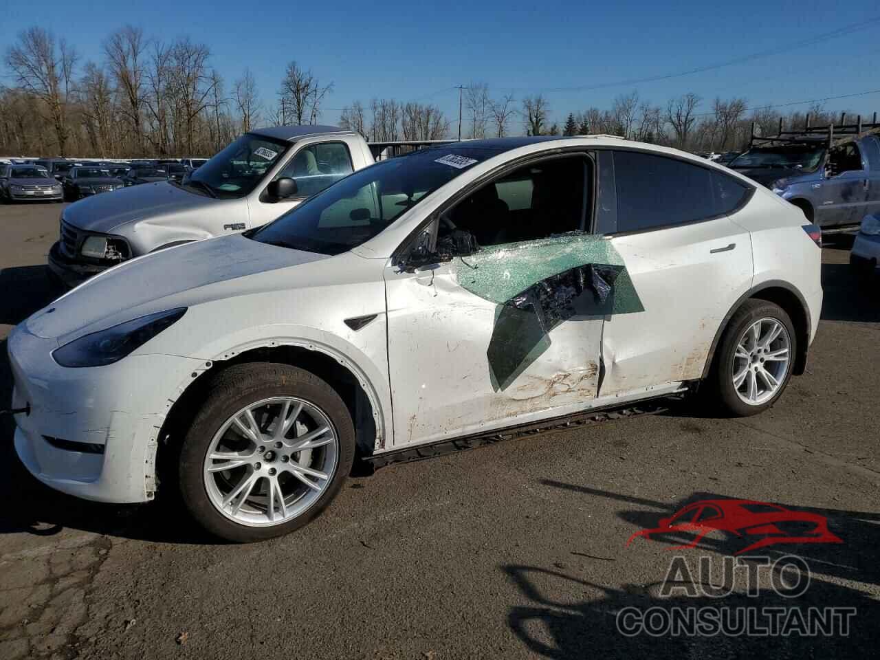 TESLA MODEL Y 2024 - 7SAYGDEE0RF044320