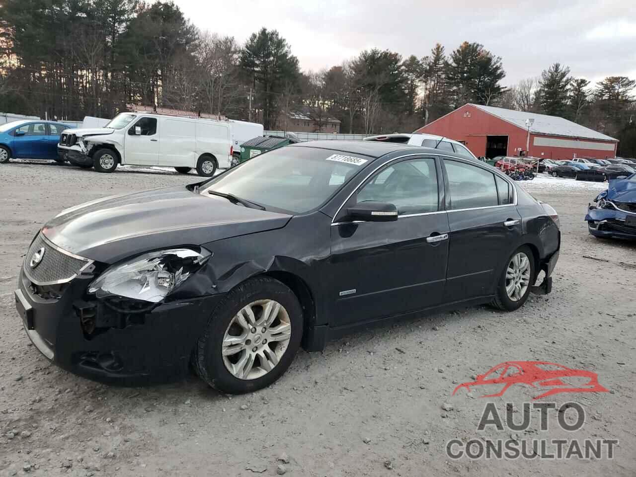 NISSAN ALTIMA 2010 - 1N4CL2AP9AC154126