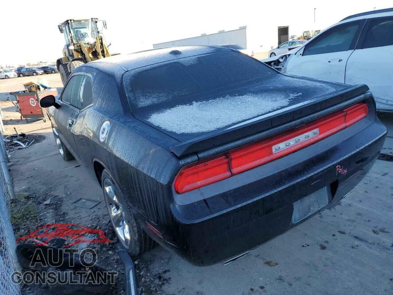 DODGE CHALLENGER 2013 - 2C3CDYBTXDH535222