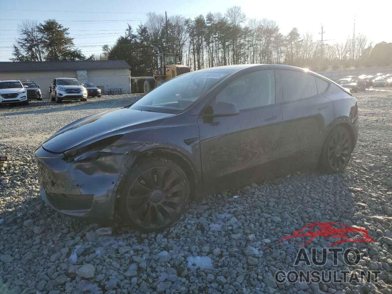 TESLA MODEL Y 2022 - 7SAYGDEF2NF383762