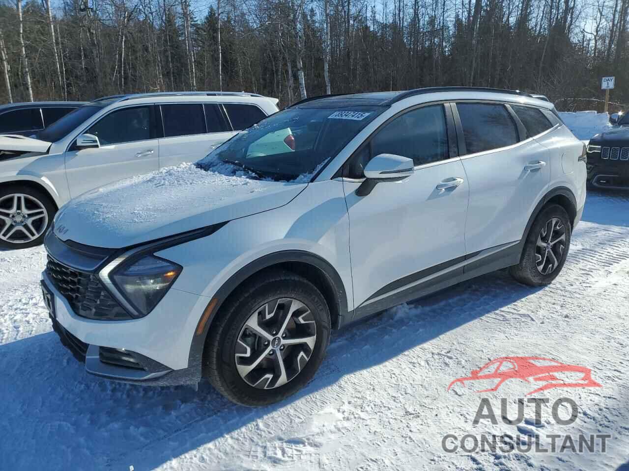 KIA SPORTAGE 2024 - KNDPVCDF2R7309554