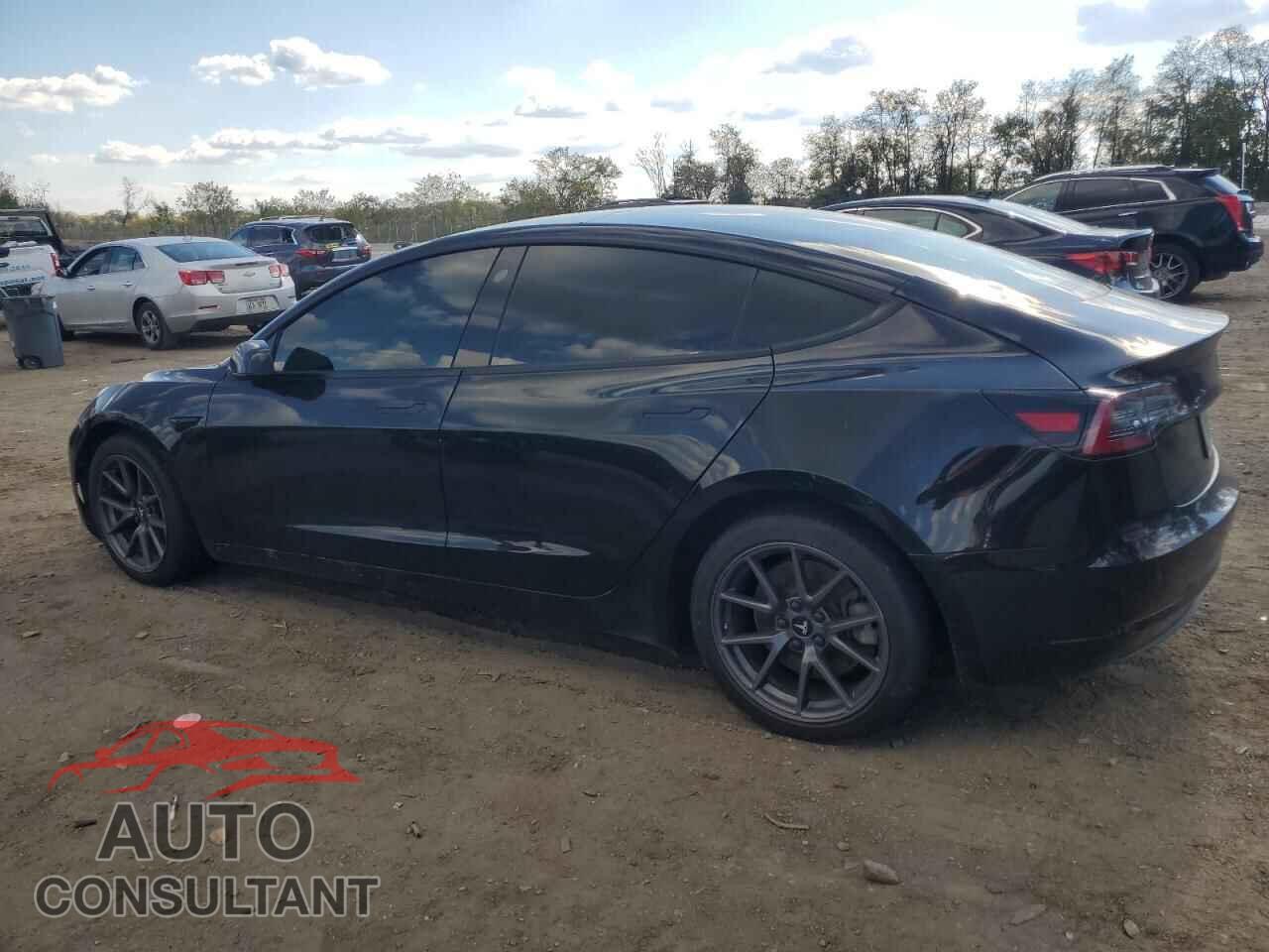 TESLA MODEL 3 2021 - 5YJ3E1EBXMF053438