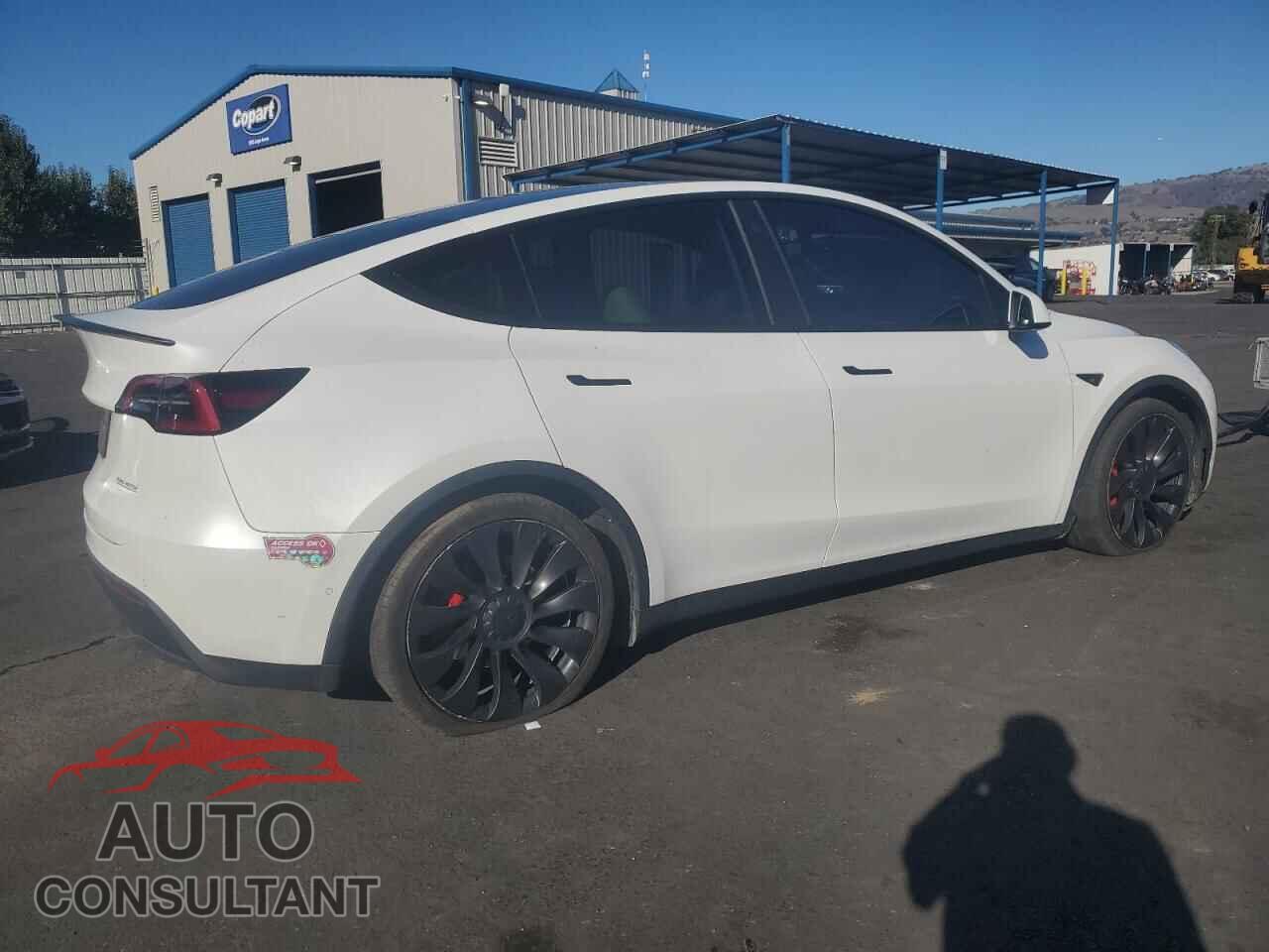 TESLA MODEL Y 2022 - 7SAYGDEF6NF338887