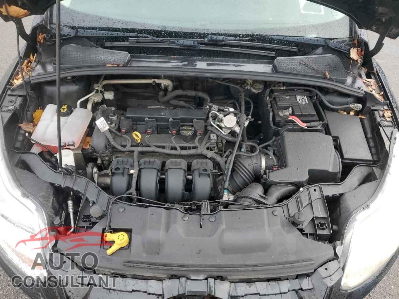 FORD FOCUS 2014 - 1FADP3F26EL246960