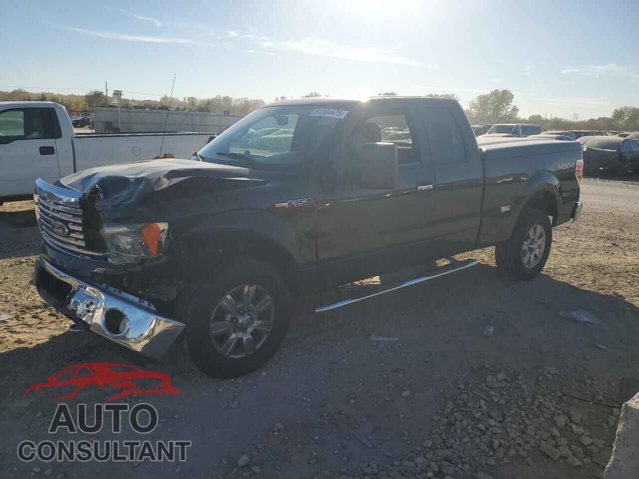 FORD F-150 2010 - 1FTFX1EV8AKB99000