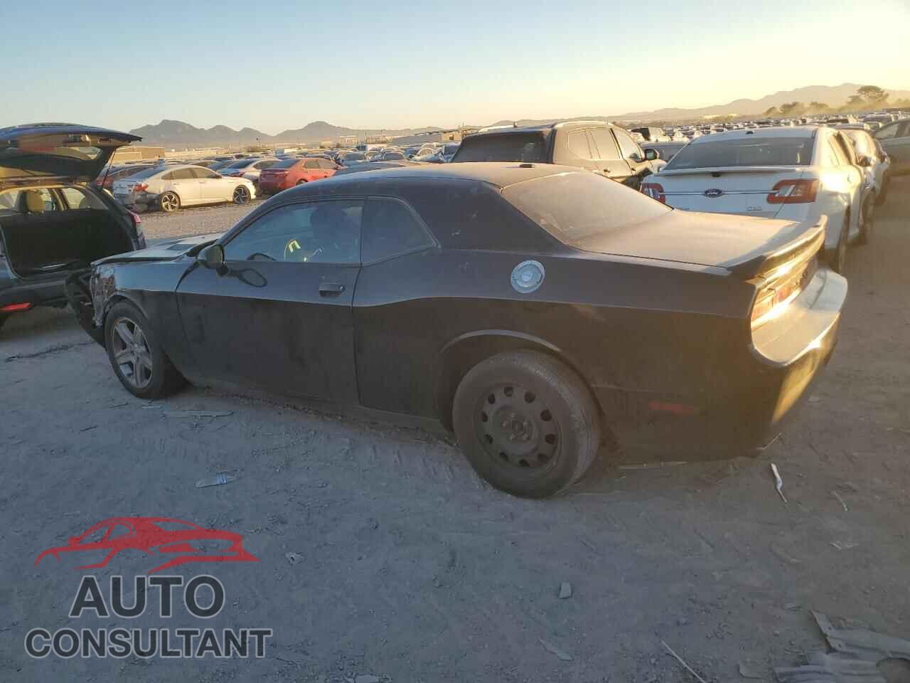 DODGE CHALLENGER 2014 - 2C3CDYAG8EH203916