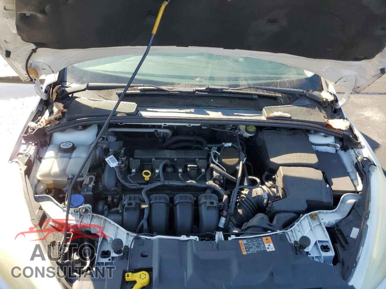 FORD FOCUS 2016 - 1FADP3E29GL261506
