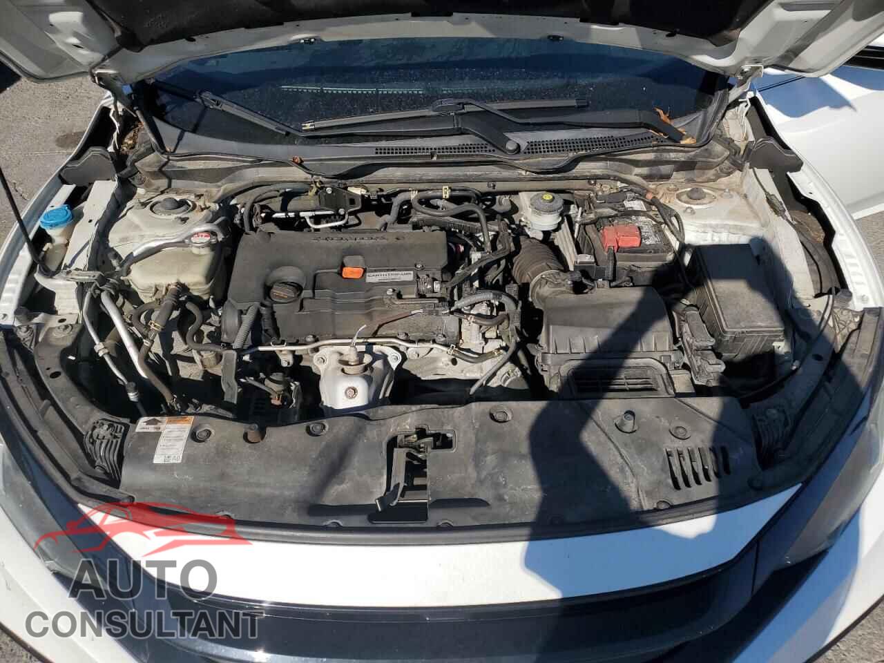 HONDA CIVIC 2019 - 2HGFC2F83KH511342