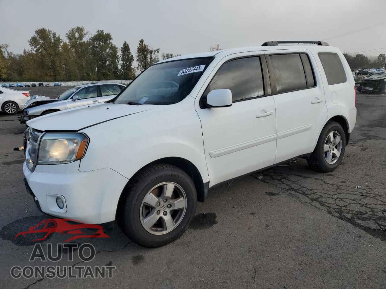 HONDA PILOT 2011 - 5FNYF4H5XBB044391