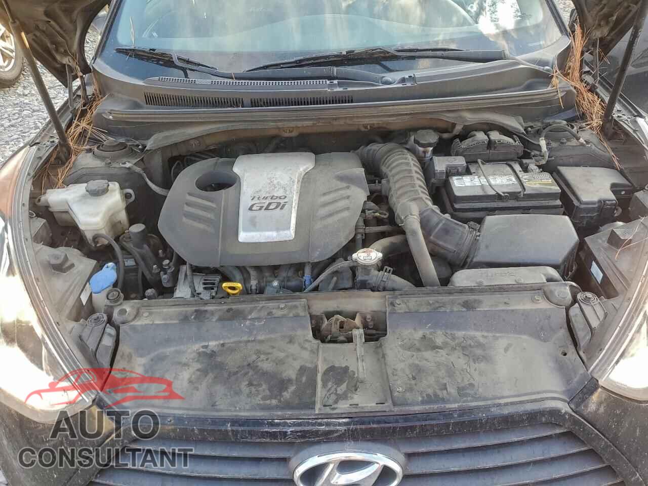 HYUNDAI VELOSTER 2015 - KMHTC6AE8FU217021