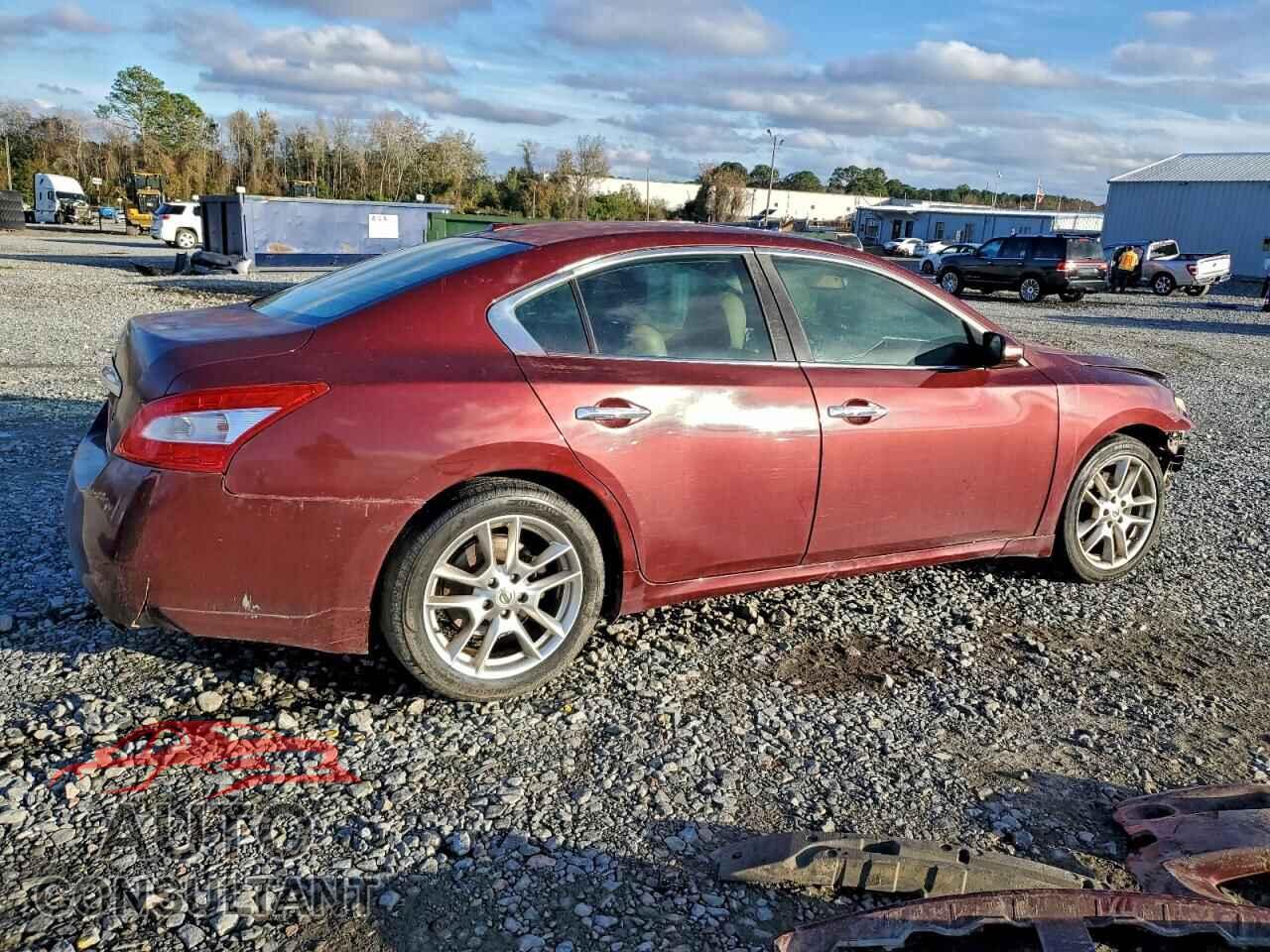 NISSAN MAXIMA 2011 - 1N4AA5AP1BC845571