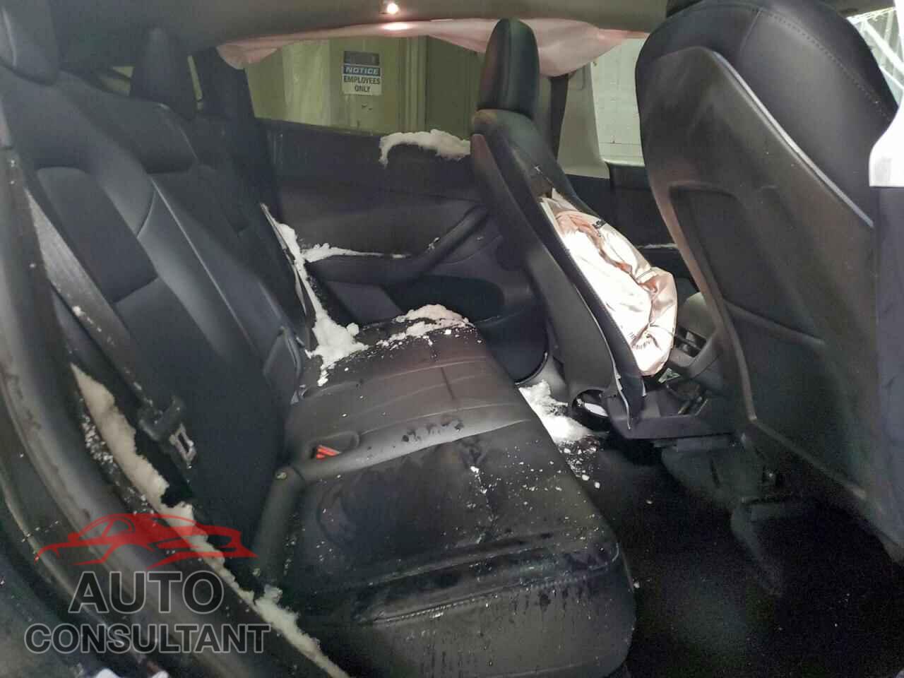 TESLA MODEL Y 2024 - 7SAYGDEE1RF181623
