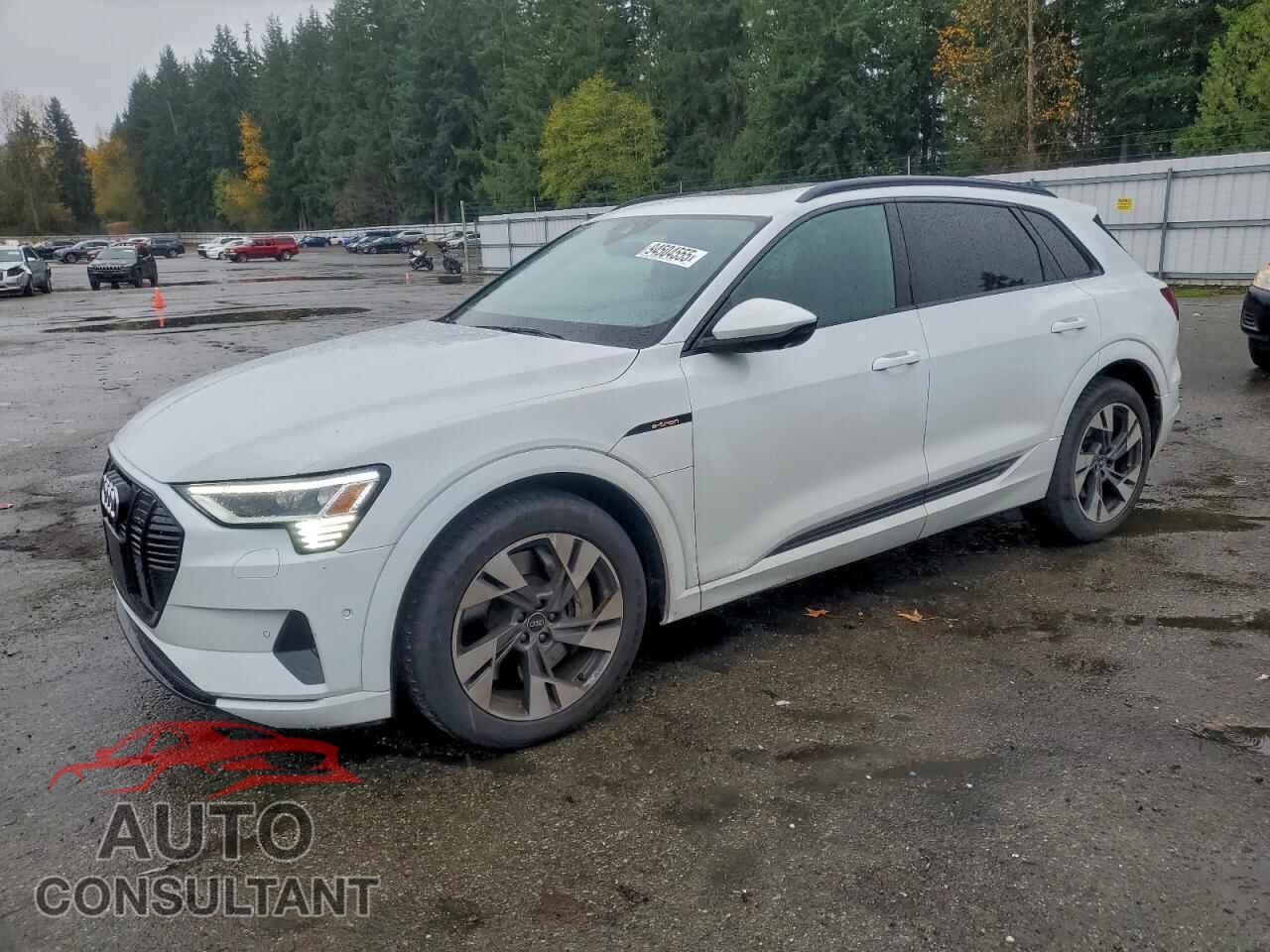 AUDI E-TRON 2022 - WA1AAAGE2NB014061