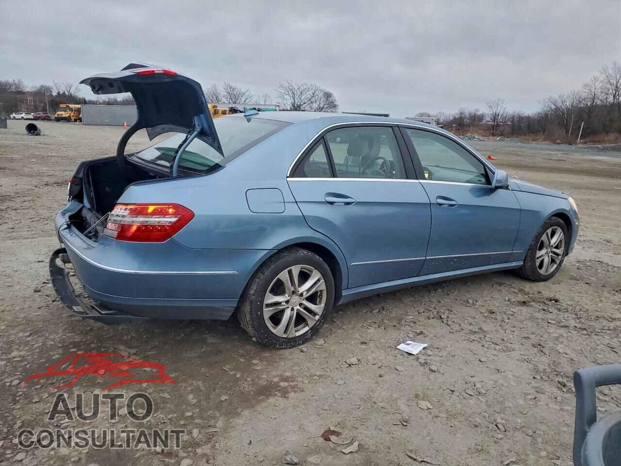 MERCEDES-BENZ E-CLASS 2010 - WDDHF8HB3AA225844