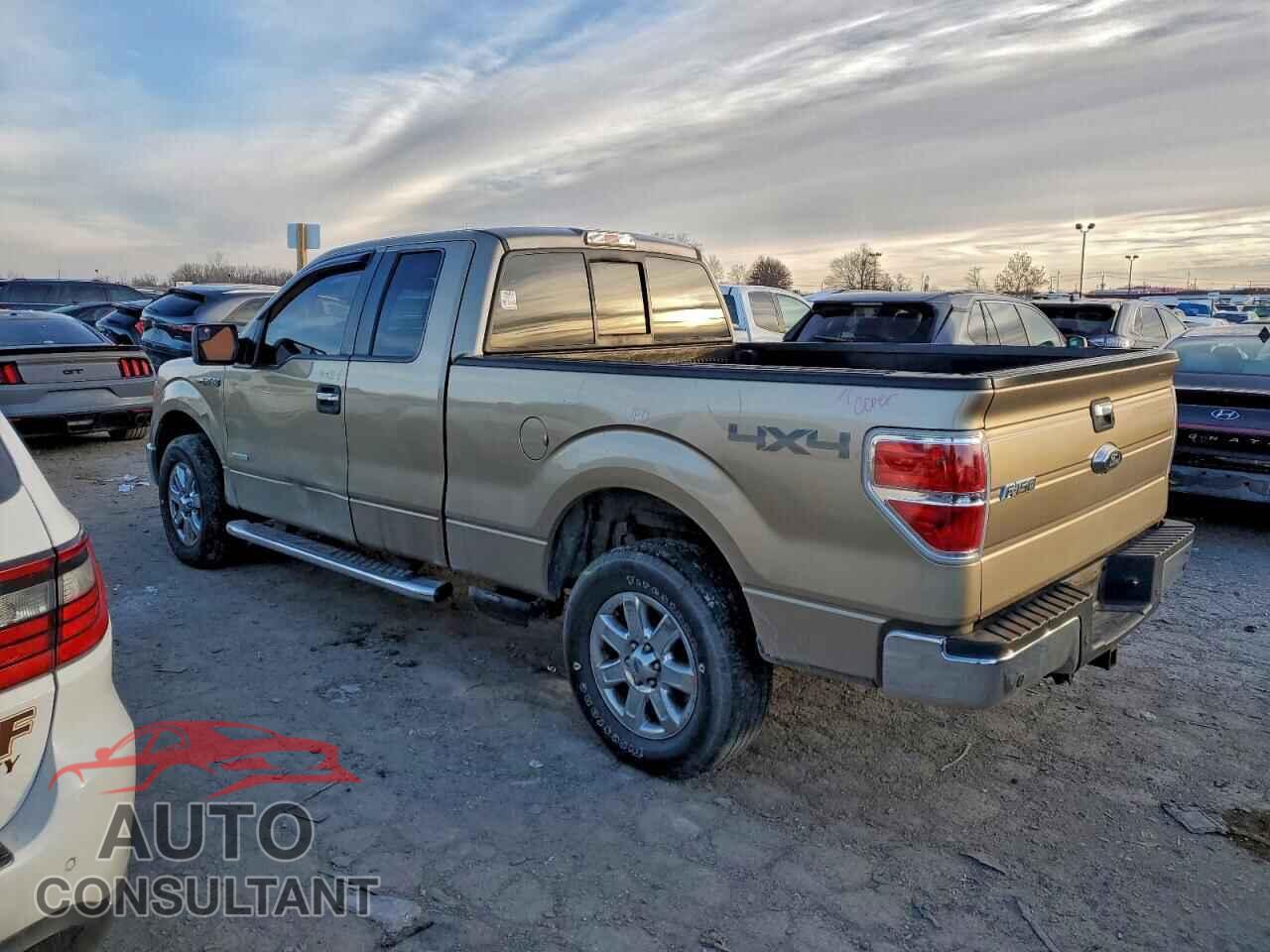 FORD F-150 2013 - 1FTFX1ETXDFD54397