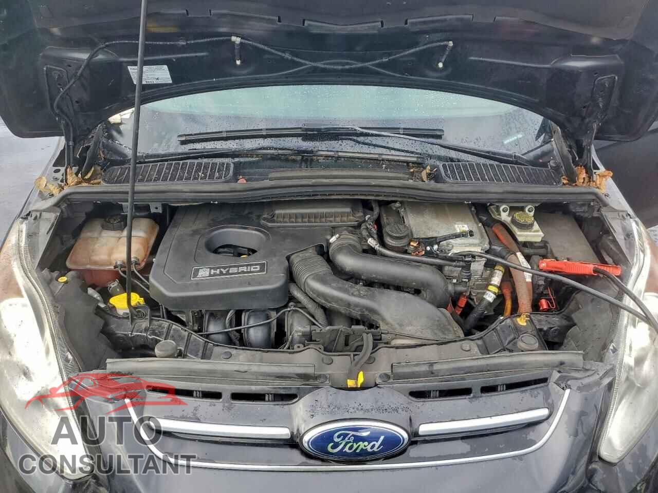 FORD CMAX 2014 - 1FADP5BU6EL521892