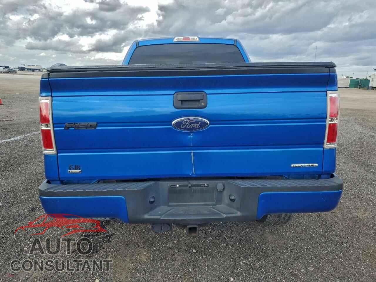 FORD F-150 2013 - 1FTFX1EF0DFD25517