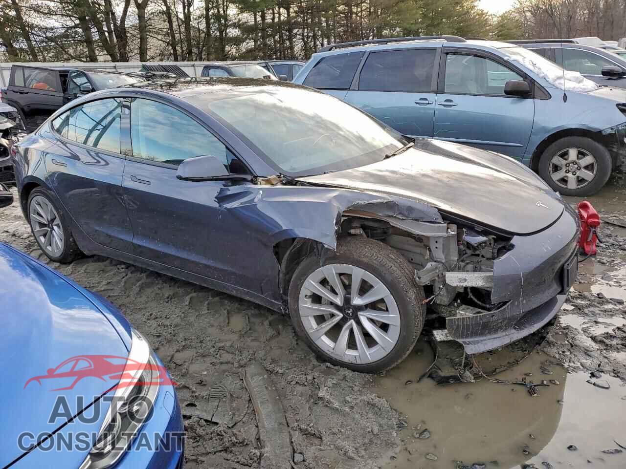 TESLA MODEL 3 2021 - 5YJ3E1EA1MF021064