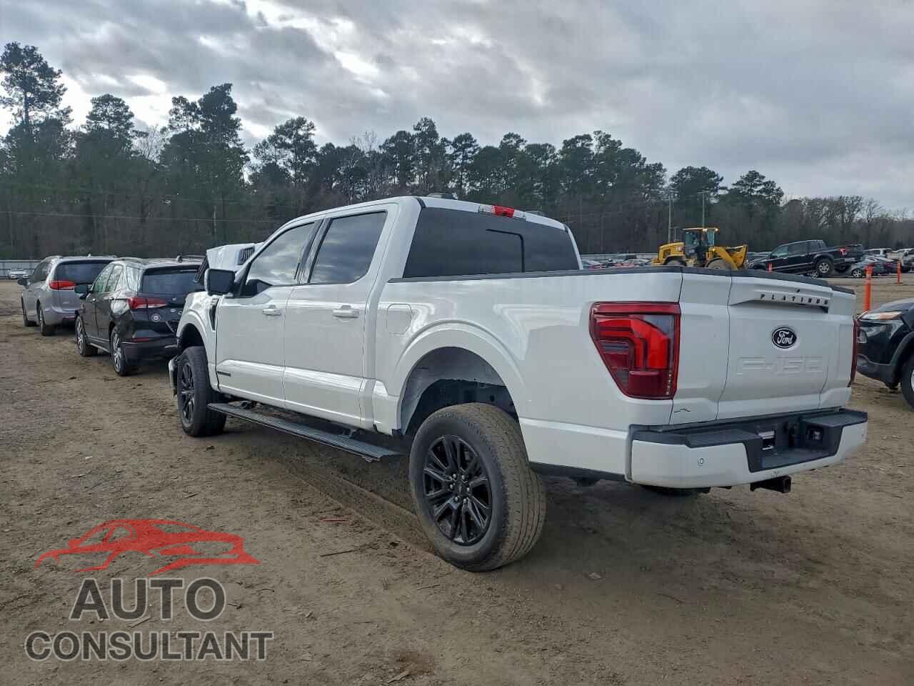 FORD F150 PLATI 2024 - 1FTFW7LD2RFC17236