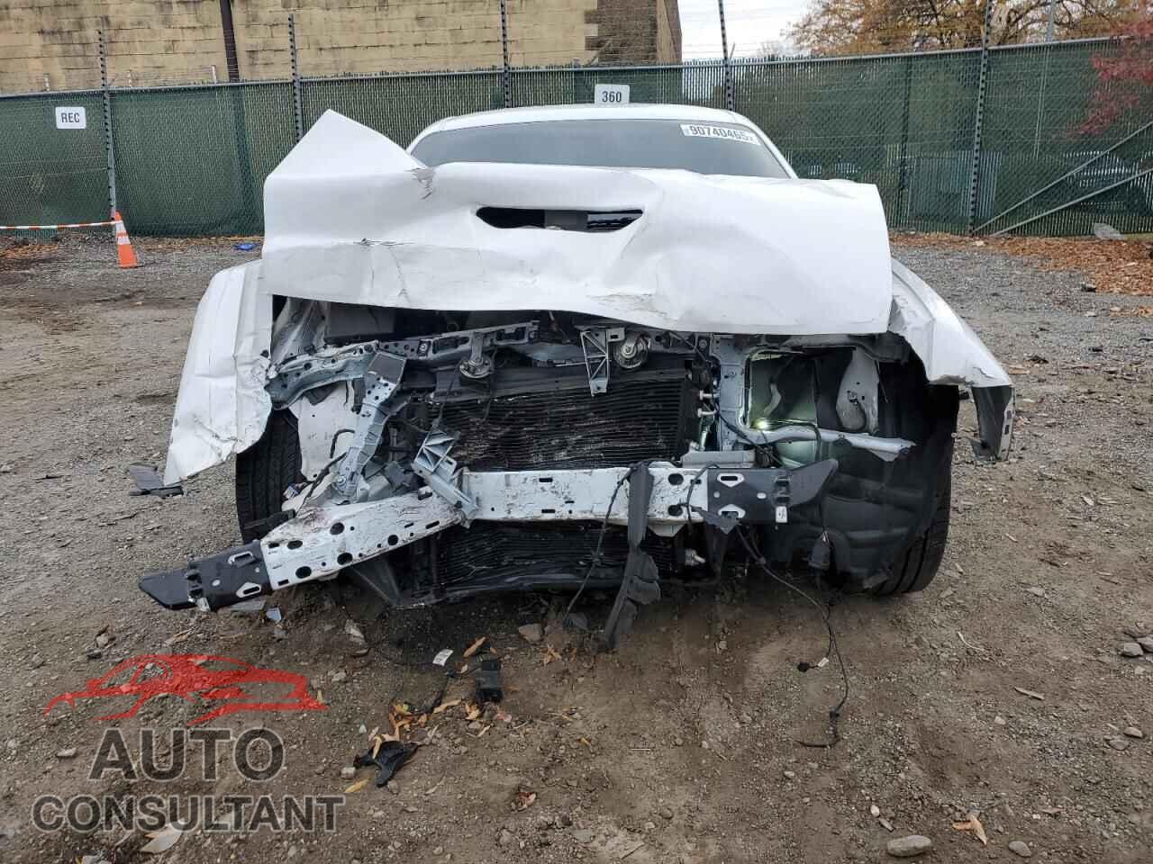 DODGE CHALLENGER 2019 - 2C3CDZBTXKH739098