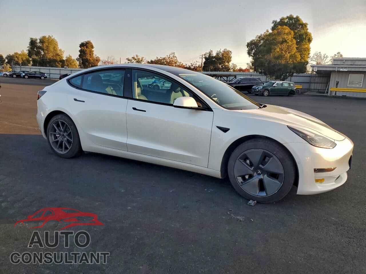 TESLA MODEL 3 2021 - 5YJ3E1EA1MF094032