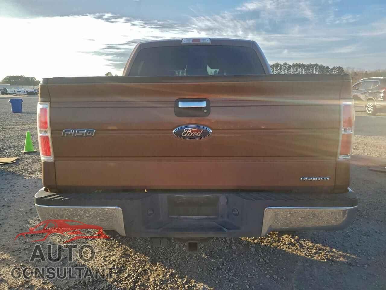 FORD F-150 2012 - 1FTEW1CM4CKD41449