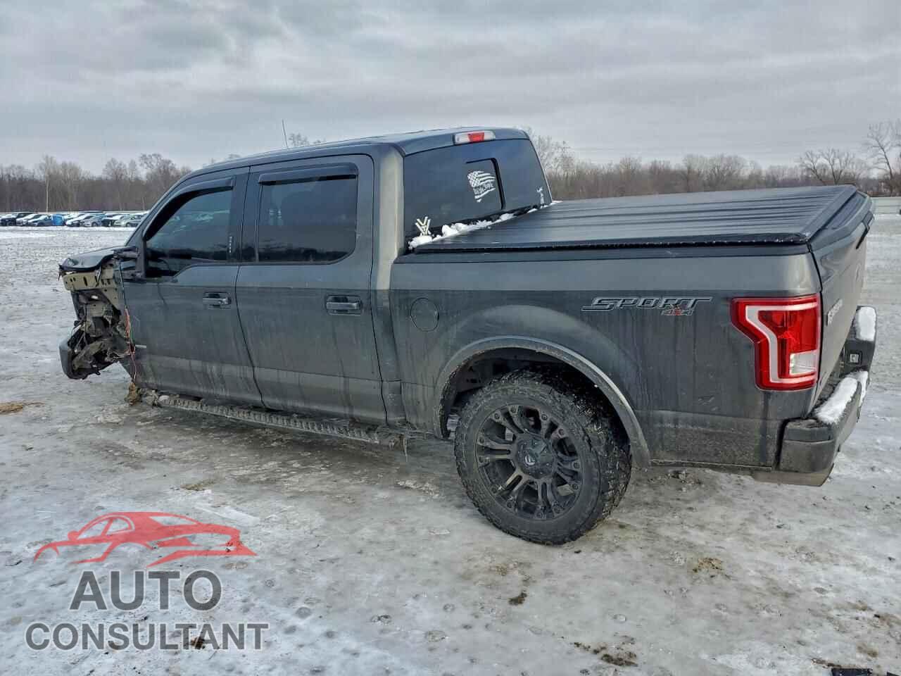FORD F-150 2015 - 1FTEW1EGXFFC73937